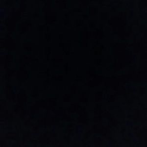 Meet your Posher, Wanda