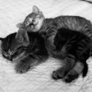 Meet your Posher, Joana