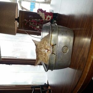 Meet your Posher, Michaela