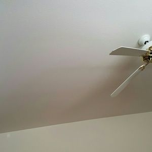 Meet your Posher, Nikisha