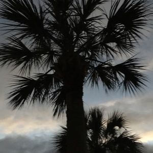 Meet your Posher, Jan