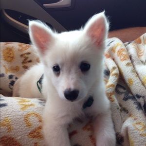 Meet your Posher, Terrie