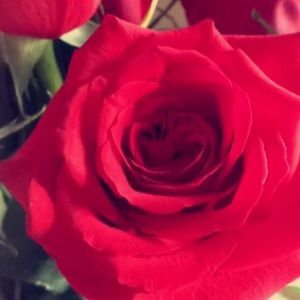 Meet your Posher, Marie