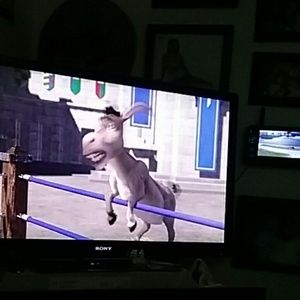 Meet your Posher, Craigie