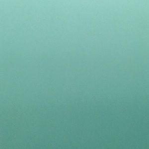 Meet your Posher, Laneshia