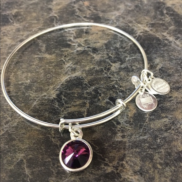 Alex and ani silver February birthstone