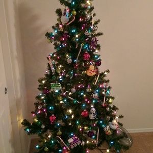 Meet your Posher, Brandi