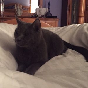 Meet your Posher, Maggie