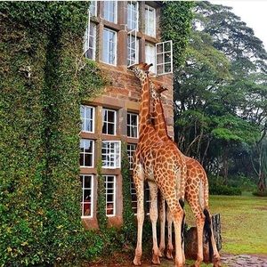 Meet your Posher, Laketa