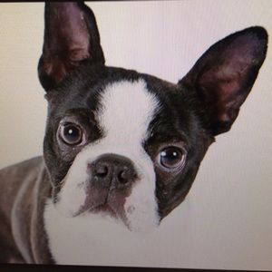 Meet your Posher, Becky