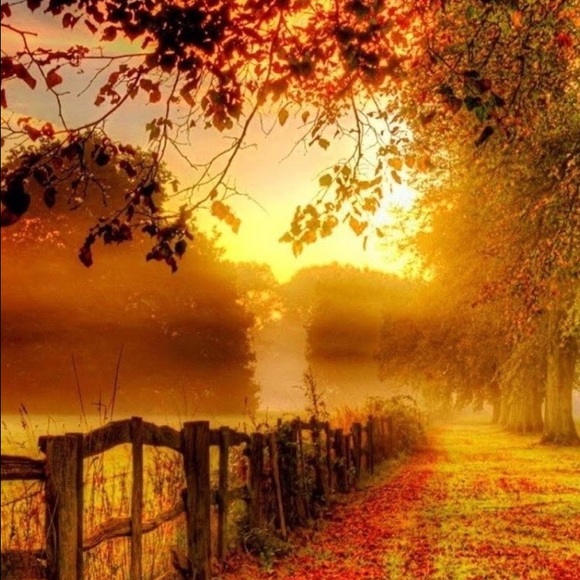 Meet your Posher, Casey - Picture 1 of 1