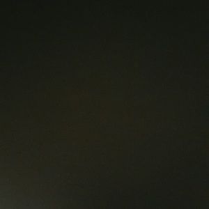 Meet your Posher, Elisa