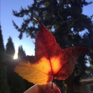 Meet your Posher, Trinity