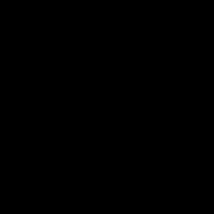 Meet your Posher, Tamara