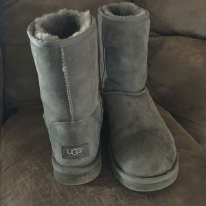 Gray short classic uggs