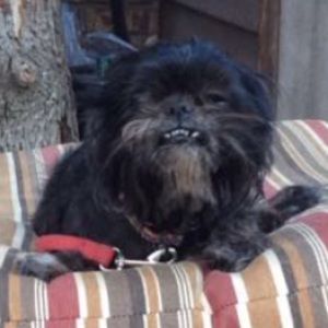 Meet your Posher, Evelyn