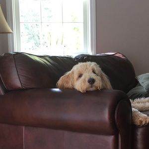 Meet your Posher, Donna