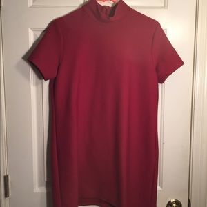 Shallow Turtleneck Dress