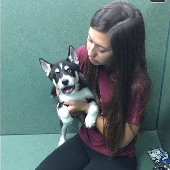 Meet your Posher, Alexis