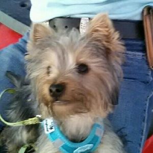 Meet your Posher, Diane