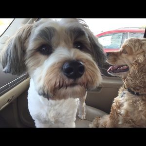 Meet your Posher, Jaime