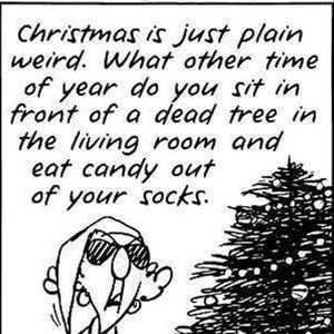 Meet your Posher, Dora