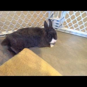 Meet your Posher, Tara