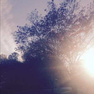 Meet your Posher, Klara