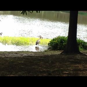 Meet your Posher, Annie