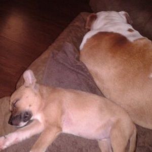 Meet your Posher, Johnna