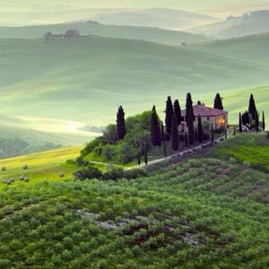 Meet your Posher, Ken