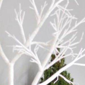 Meet your Posher, Terra