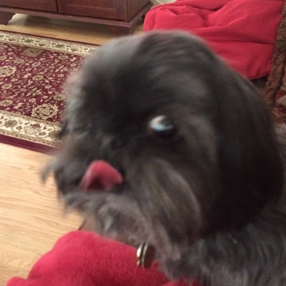 Meet your Posher, Leah