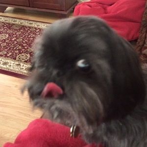 Meet your Posher, Leah