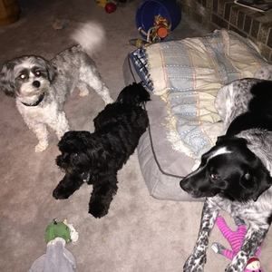 Meet your Posher, Rick dyann