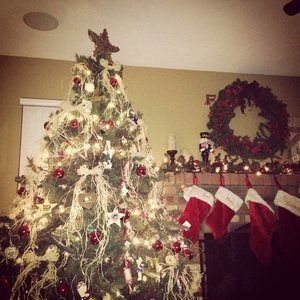 Meet your Posher, Gina