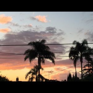 Meet your Posher, Chaya