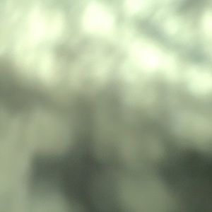 Meet your Posher, Nayely