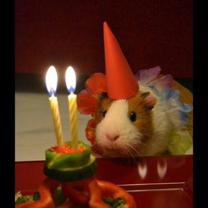 Meet your Posher, Jamie