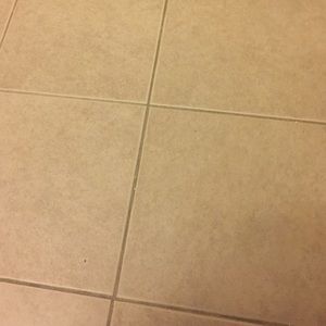 Meet your Posher, Clarissa