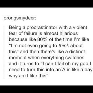 Meet your Posher, Sofia