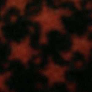 Meet your Posher, Lae