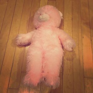 Build a bear teddy bear