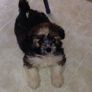 Meet your Posher, Danae