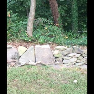 Meet your Posher, Terri