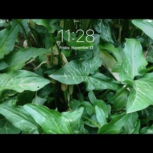 Meet your Posher, Kacie