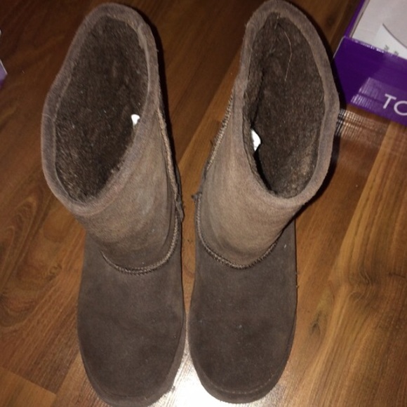 Brown Bear Paws - Picture 2 of 4