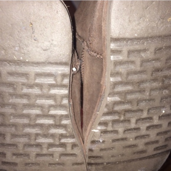 Brown Bear Paws - Picture 4 of 4