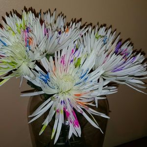 Meet your Posher, Mindy