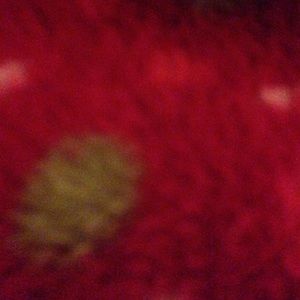 Meet your Posher, Remington